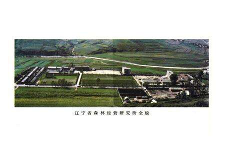 《《辽宁省森林经营研究所志(1958-1985)》》.pdf电子版_辽宁省志预览图2