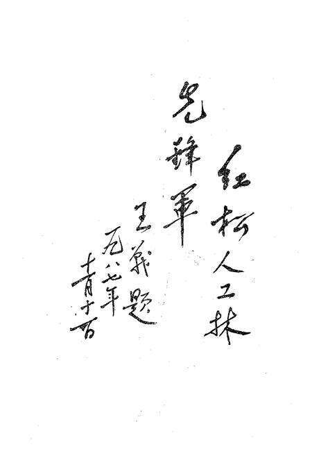 《《辽宁省森林经营研究所志(1958-1985)》》.pdf电子版_辽宁省志预览图5