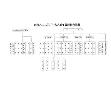 《国营八二三○厂志·第一卷(1970-1985)》.pdf电子版_辽宁省志预览图4