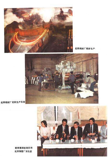 《沈阳冶金工业志(1933-1985)》.pdf电子版_辽宁省志预览图5