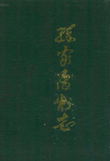 《《孙家湾村志》》.pdf电子版_辽宁省志缩略图