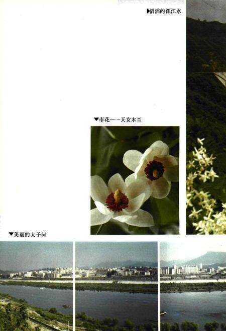 《《本溪市水利志(1132-1990)》》.pdf电子版_辽宁省志预览图4