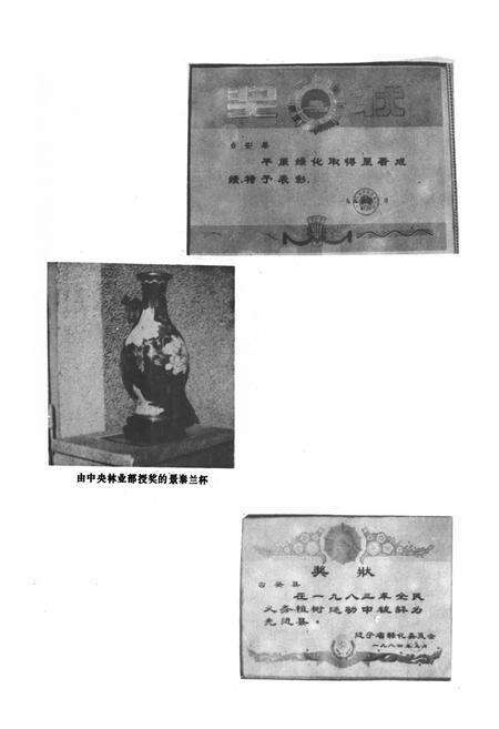 《台安县林业志》.pdf电子版_辽宁省志预览图5