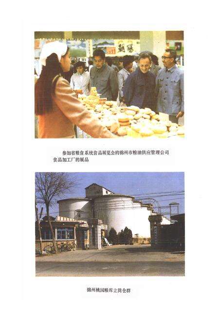 《锦州市粮食志》.pdf电子版_辽宁省志预览图4