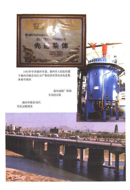 《锦州市粮食志》.pdf电子版_辽宁省志预览图5