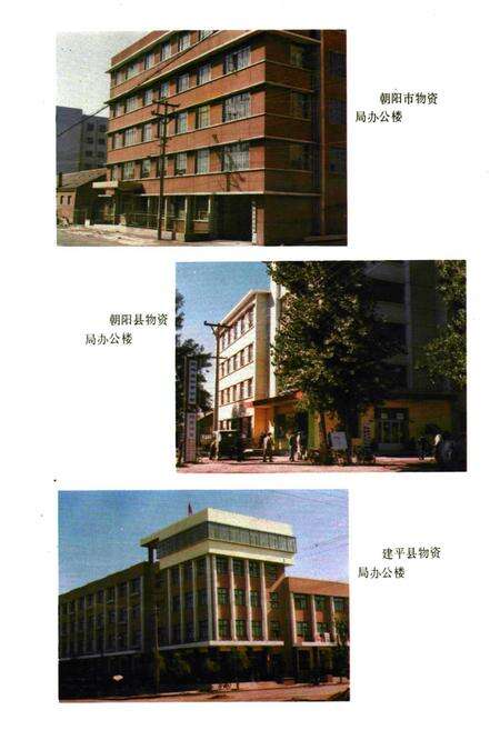 《朝阳市场物资志》.pdf电子版_辽宁省志预览图2