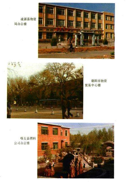 《朝阳市场物资志》.pdf电子版_辽宁省志预览图3