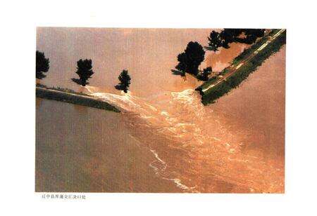 《沈阳乙亥水灾志》.pdf电子版_辽宁省志预览图5