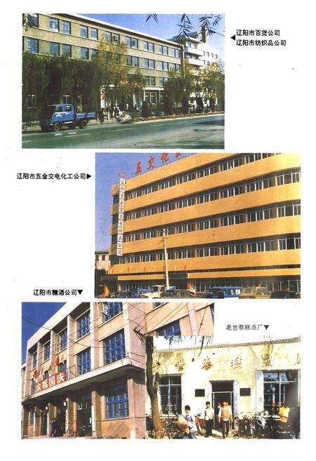 《辽阳市商业志》.pdf电子版_辽宁省志预览图5