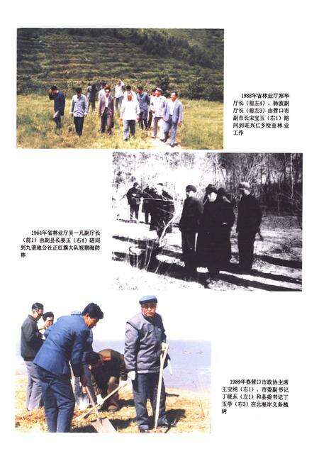 《盖州市林业志》.pdf电子版_辽宁省志预览图3