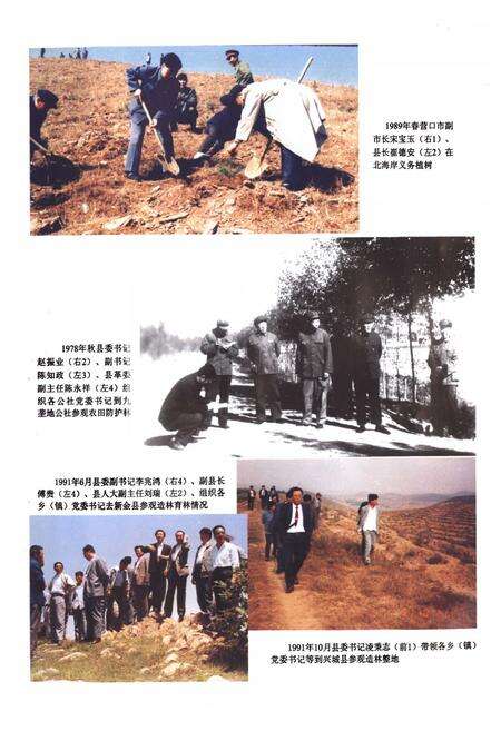 《盖州市林业志》.pdf电子版_辽宁省志预览图4