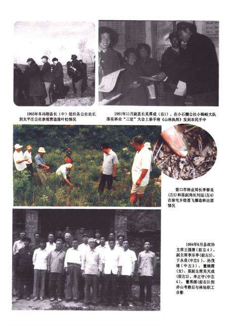 《盖州市林业志》.pdf电子版_辽宁省志预览图5