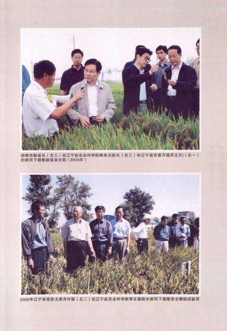 《《稻作研究所所志(1956-2005)》》.pdf电子版_辽宁省志预览图3