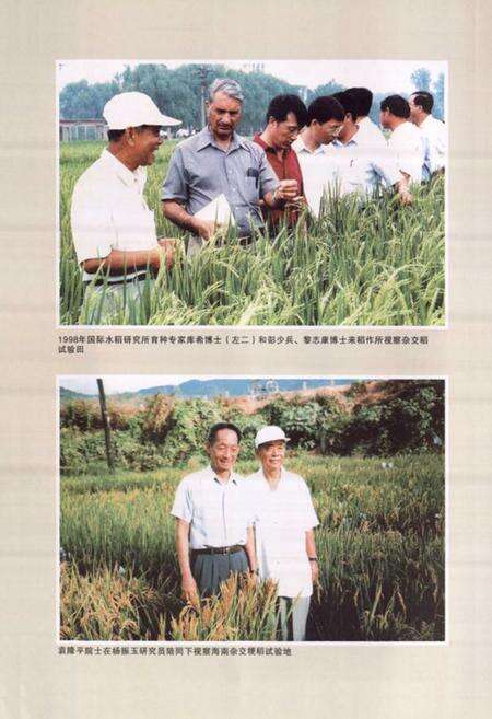 《《稻作研究所所志(1956-2005)》》.pdf电子版_辽宁省志预览图4