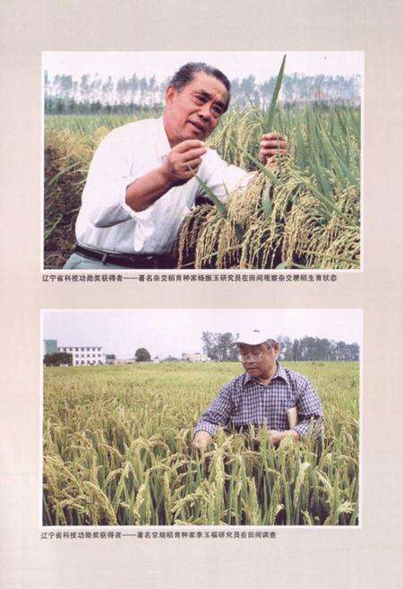 《《稻作研究所所志(1956-2005)》》.pdf电子版_辽宁省志预览图5