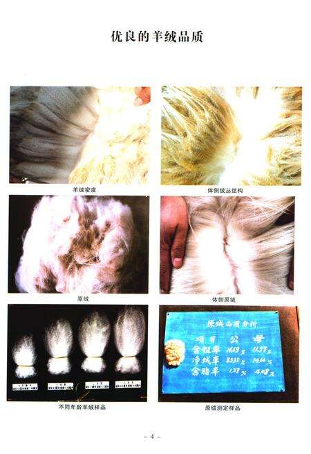 《《辽宁绒山羊育种志》(1980-2008)》.pdf电子版_辽宁省志预览图5