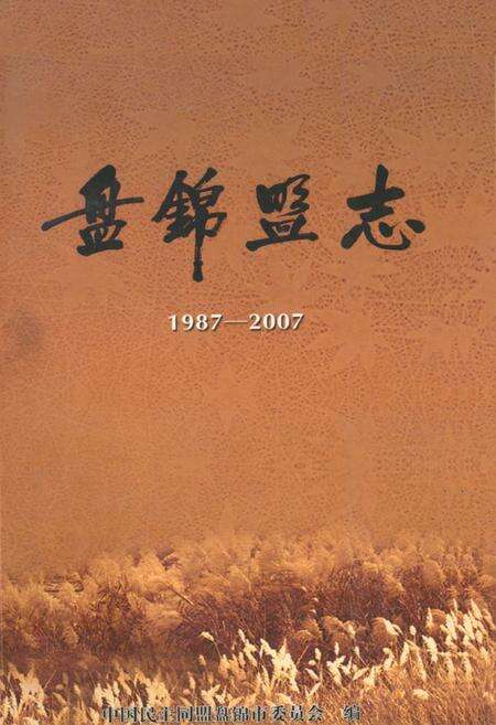 《盘锦盟志(1987-2007)》.pdf电子版_辽宁省志缩略图