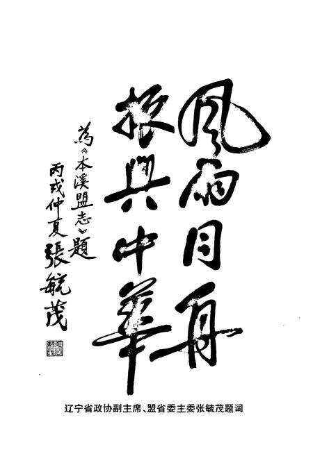 《本溪盟志(1952.8-2006.9)》.pdf电子版_辽宁省志预览图5