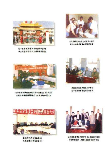 《辽宁省蒙医药志》.pdf电子版_辽宁省志预览图5