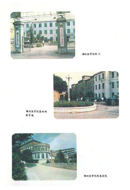 《锦州医学院科技志(1958~1988)》.pdf电子版_辽宁省志预览图3