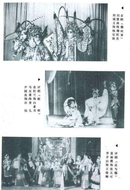 《《抚顺市戏曲志》》.pdf电子版_辽宁省志预览图5