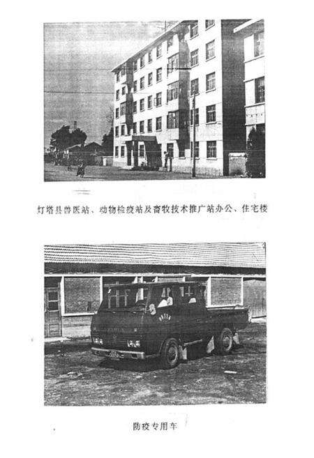 《《灯塔县畜禽疫病志(1949-1989)》》.pdf电子版_辽宁省志预览图4