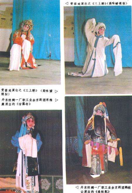 《《丹东市戏曲志》》.pdf电子版_辽宁省志预览图4