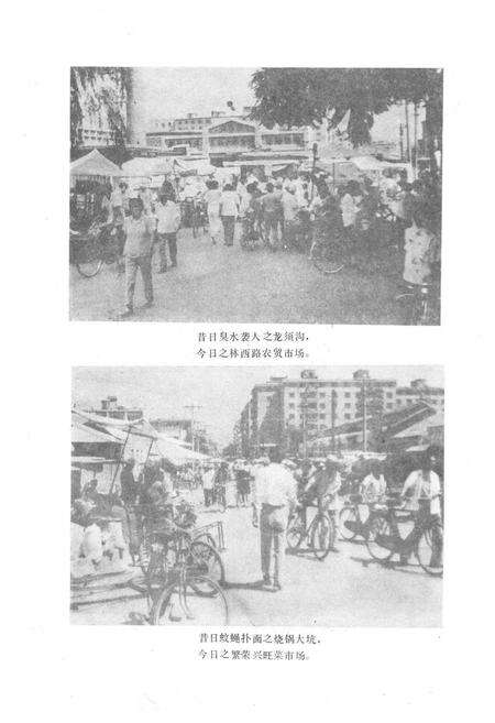 《《锦州市古塔区卫生志》(1852-1985)》.pdf电子版_辽宁省志预览图5