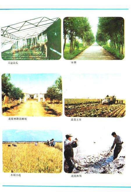 《《北陵乡志》》.pdf电子版_辽宁省志预览图4