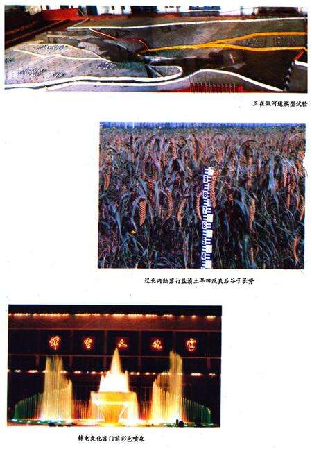 《辽宁省水利水电科学研究所所志》.pdf电子版_辽宁省志预览图5