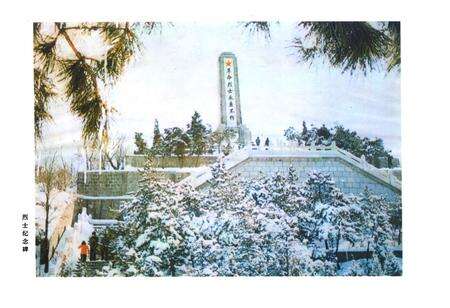 《本溪市民政志(第二卷)(1978-2000)》.pdf电子版_辽宁省志预览图2