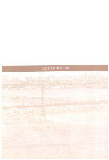 《双台子区志(1985-1996)》.pdf电子版_辽宁省志预览图2