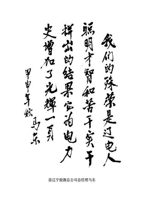 《《辽宁发电厂志 第二卷(1986-2002)》》.pdf电子版_辽宁省志预览图3