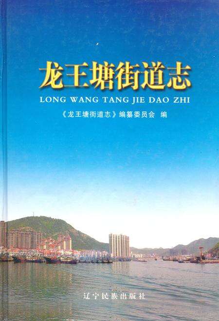 《龙王塘街道志》.pdf电子版_辽宁省志缩略图