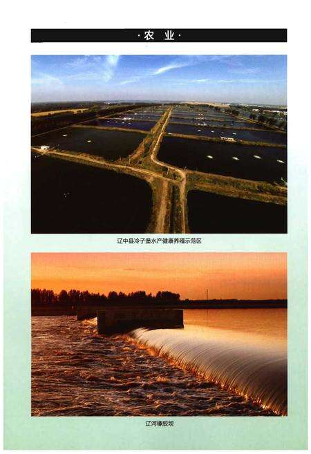 《辽中县志(1986-2005)》.pdf电子版_辽宁省志预览图5