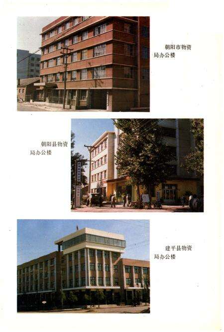 《朝阳市物资志》.pdf电子版_辽宁省志预览图3