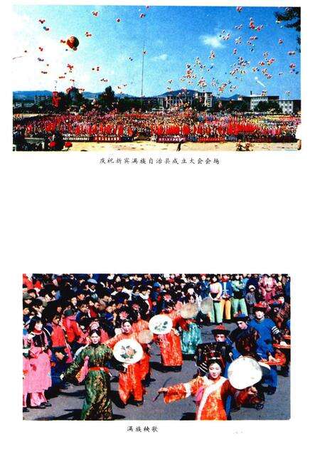 《新宾满族自治县概况》.pdf电子版_辽宁省志预览图5