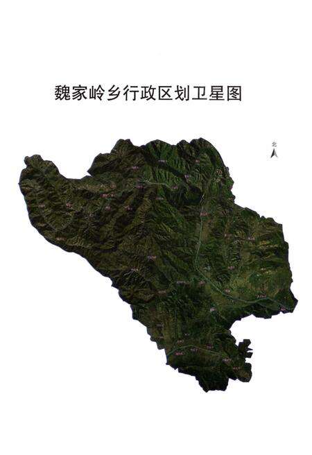 《魏家岭乡志》.pdf电子版_辽宁省志预览图4