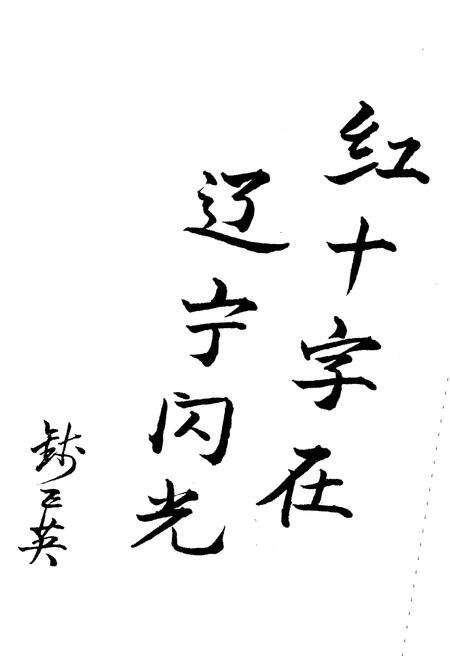 《红十字光彩》.pdf电子版_辽宁省志预览图4