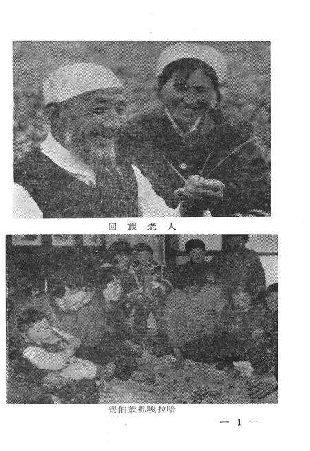 《辽宁少数民族（第二十辑）》.pdf电子版_辽宁省志预览图5