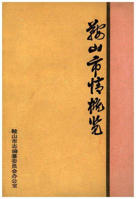 《鞍山市情概览》.pdf电子版_辽宁省志缩略图