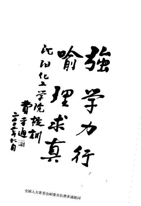 《沈阳化工学院校史 辉煌50年》.pdf电子版_辽宁省志预览图3