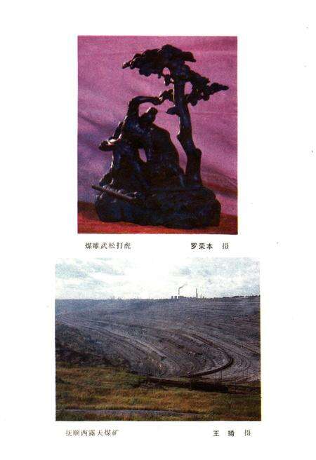 《抚顺史略》.pdf电子版_辽宁省志预览图5