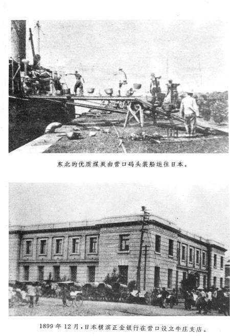 《营口人民反日斗争史》.pdf电子版_辽宁省志预览图5