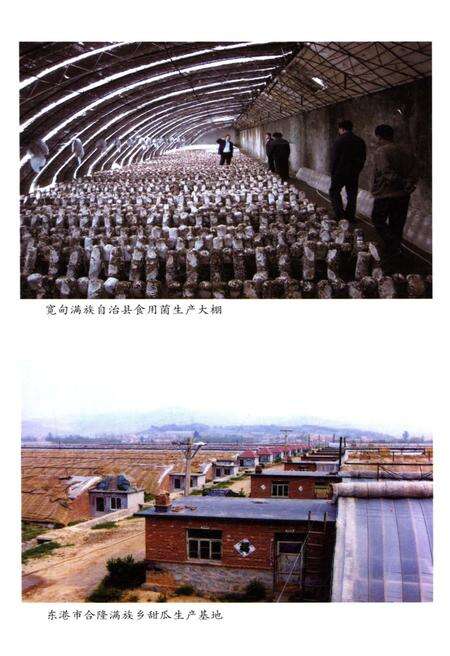 《丹东满族续志》.pdf电子版_辽宁省志预览图5