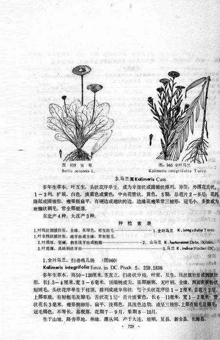 《大连地区植物志  下册》.pdf电子版_辽宁省志预览图5