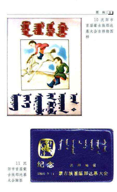 《沈阳蒙古族志》.pdf电子版_辽宁省志预览图5