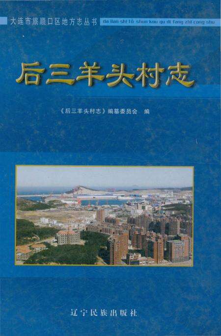 《后三羊头村志》.pdf电子版_辽宁省志缩略图
