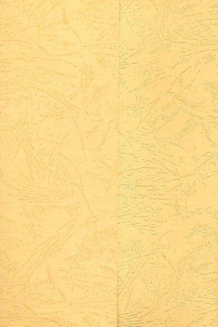 《东北民航大事记2016》.pdf电子版_辽宁省志预览图1