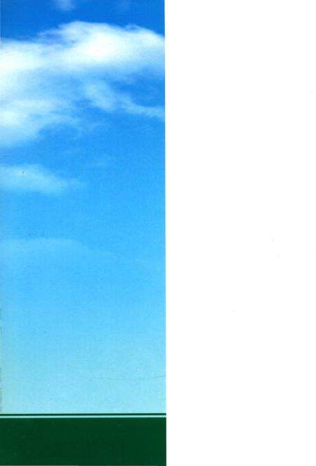 《东北电网有限公司锦州超高压局局志》.pdf电子版_辽宁省志预览图1